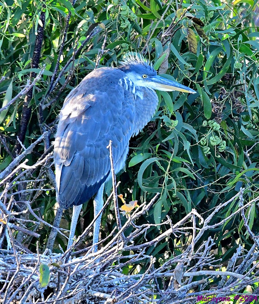 DSC_1141_001.JPG