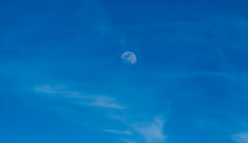 DSC_1143.jpg