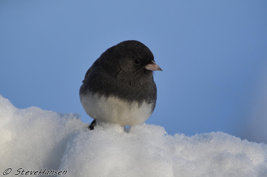 DSC_1144.jpg
