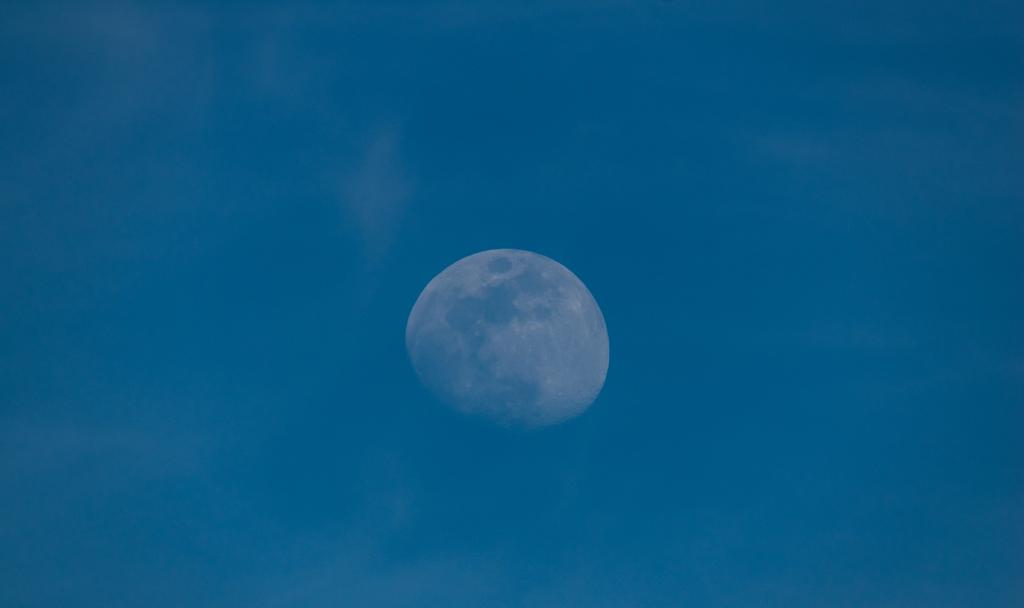 DSC_1144.jpg