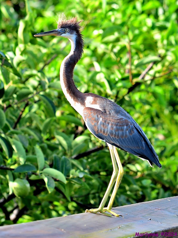 DSC_1146_001.JPG