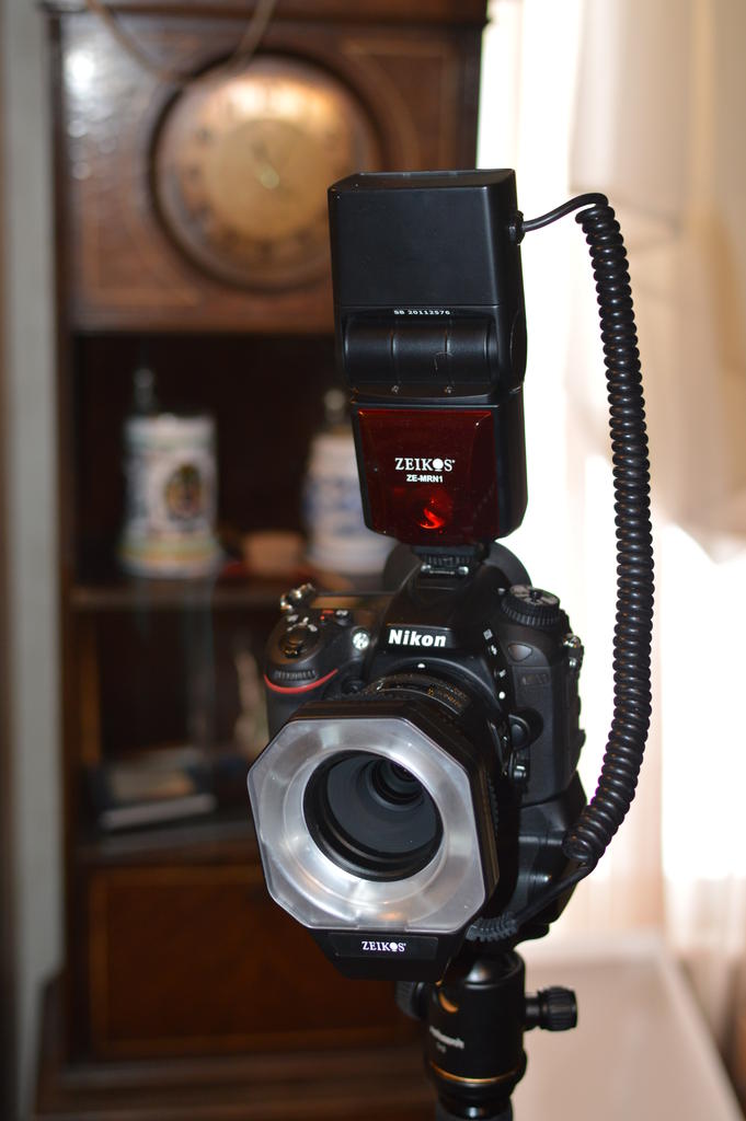 DSC_1151.jpg