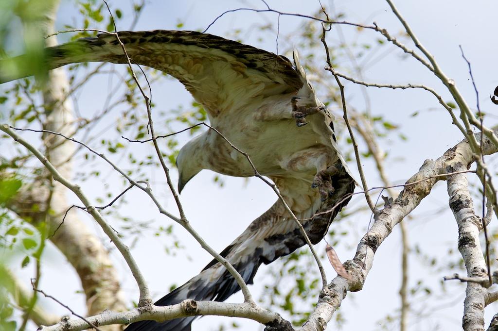 DSC_1151.jpg