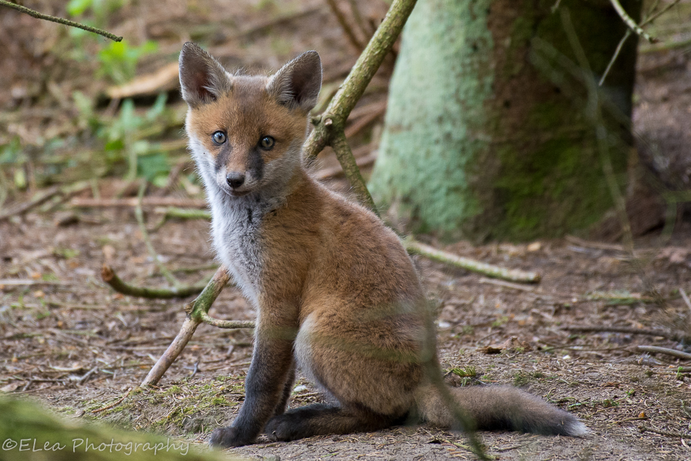 DSC_1156.jpg