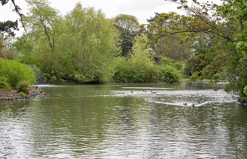 DSC_1158.jpg