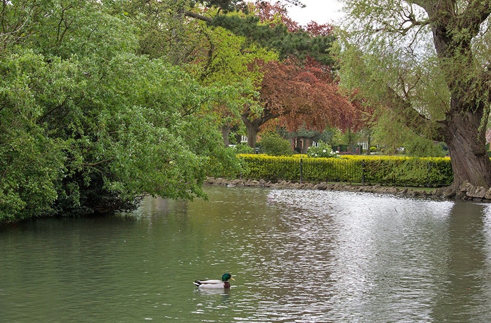 DSC_1159.jpg