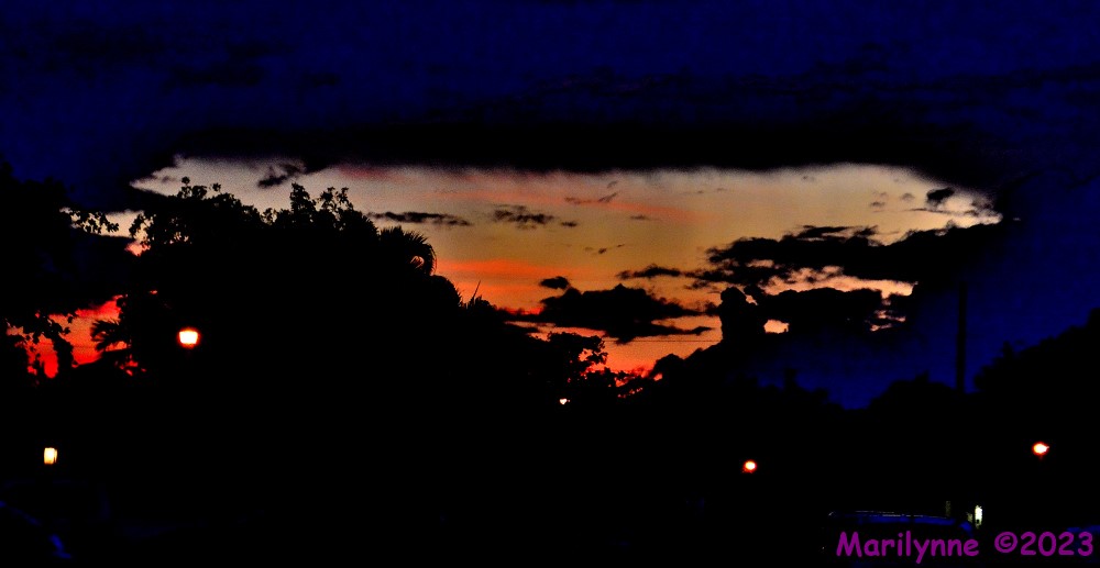 DSC_1161_001.JPG
