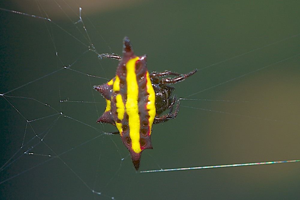 DSC_1162.jpg