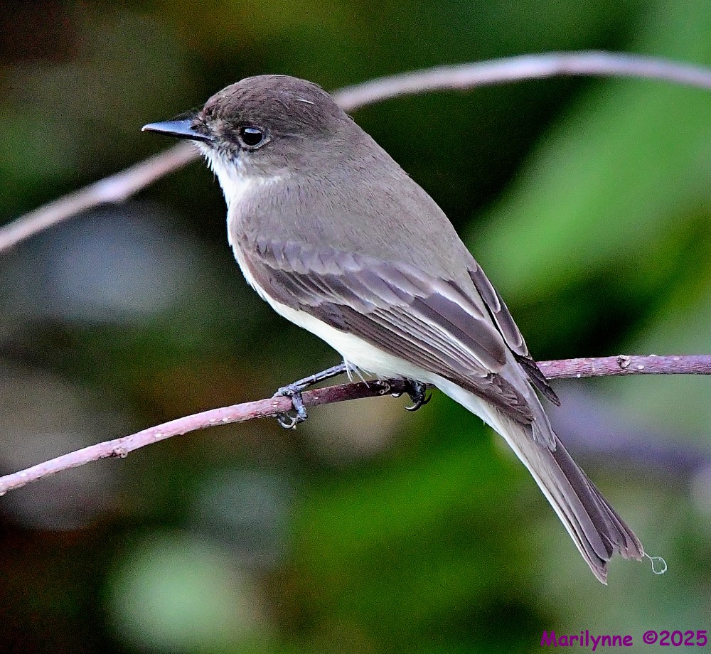 DSC_1162_001.JPG