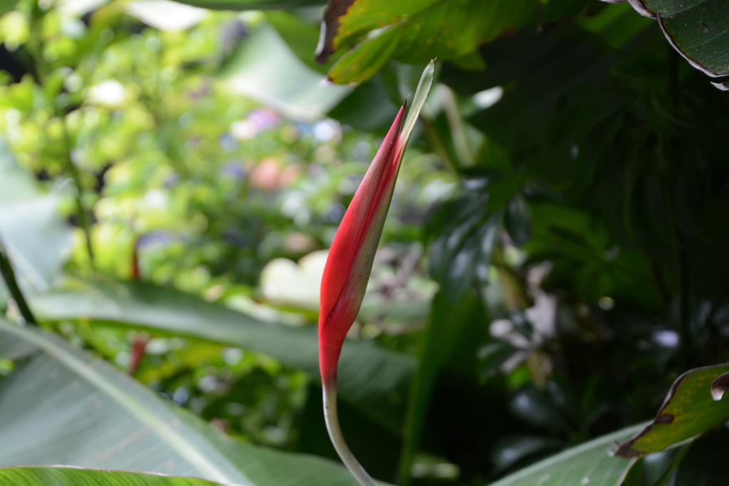 DSC_1167.jpg