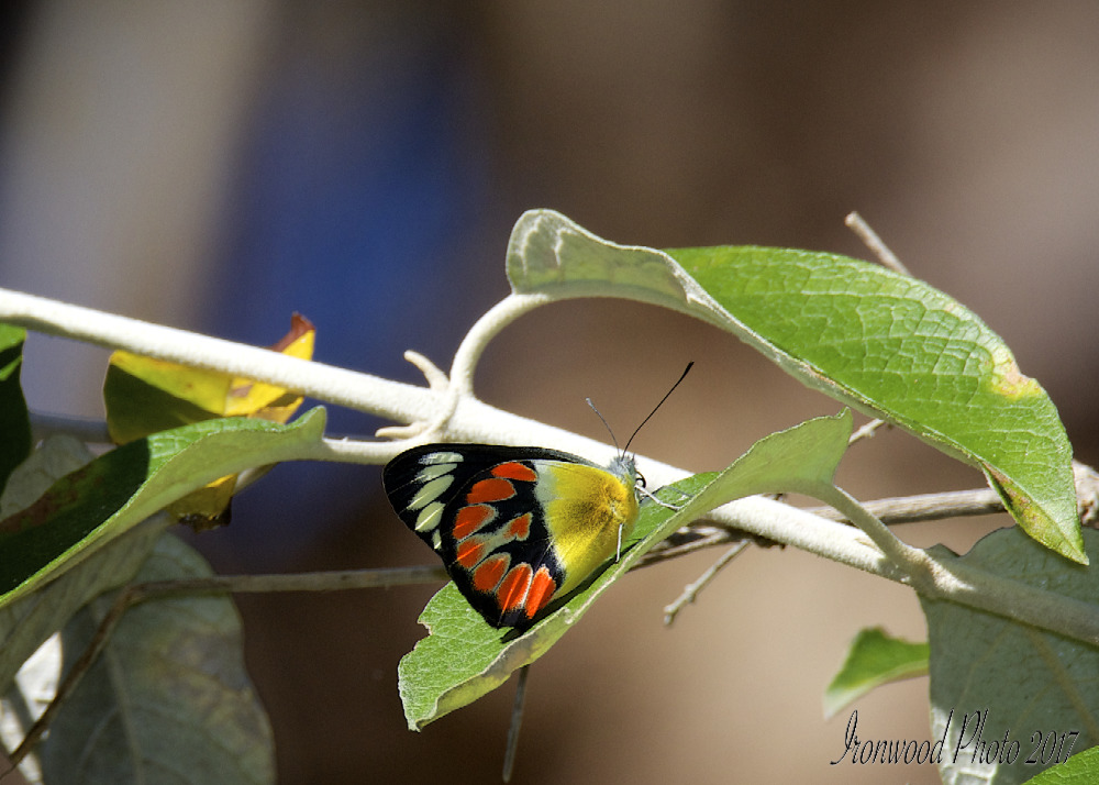 DSC_1170.jpg