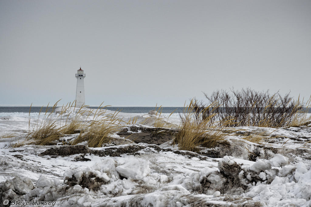 DSC_1175.jpg