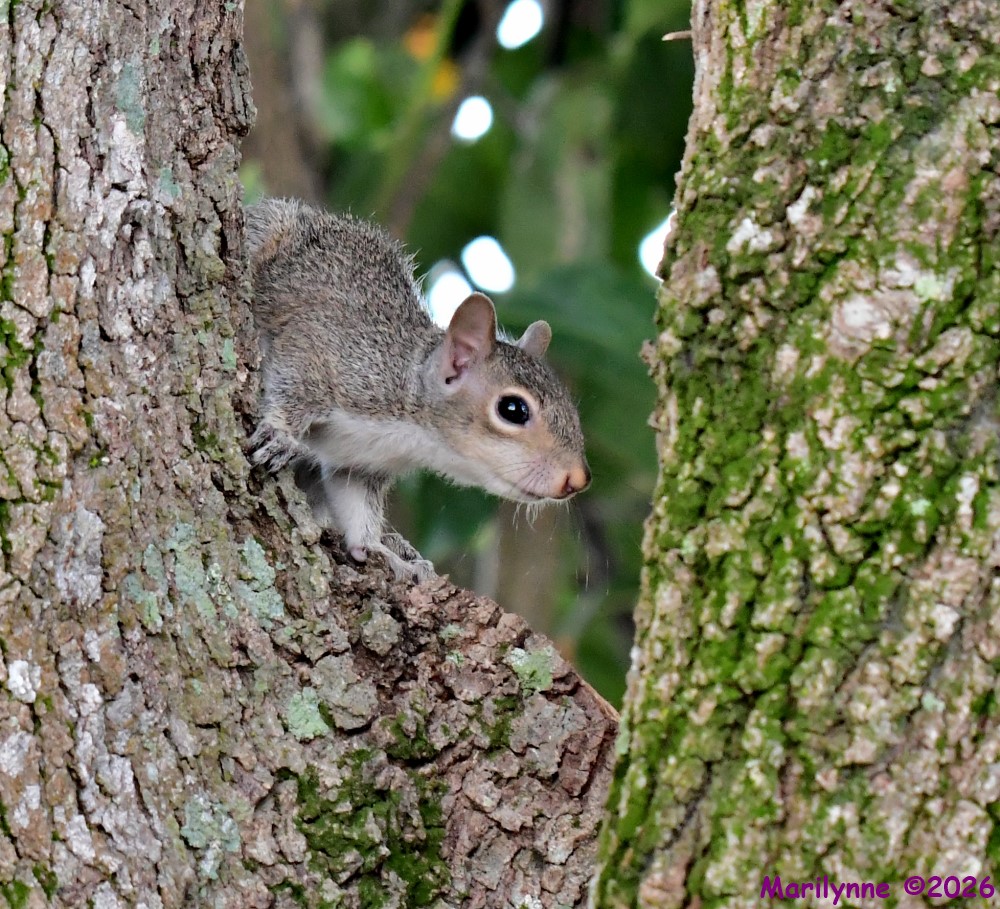 DSC_1180_001.JPG