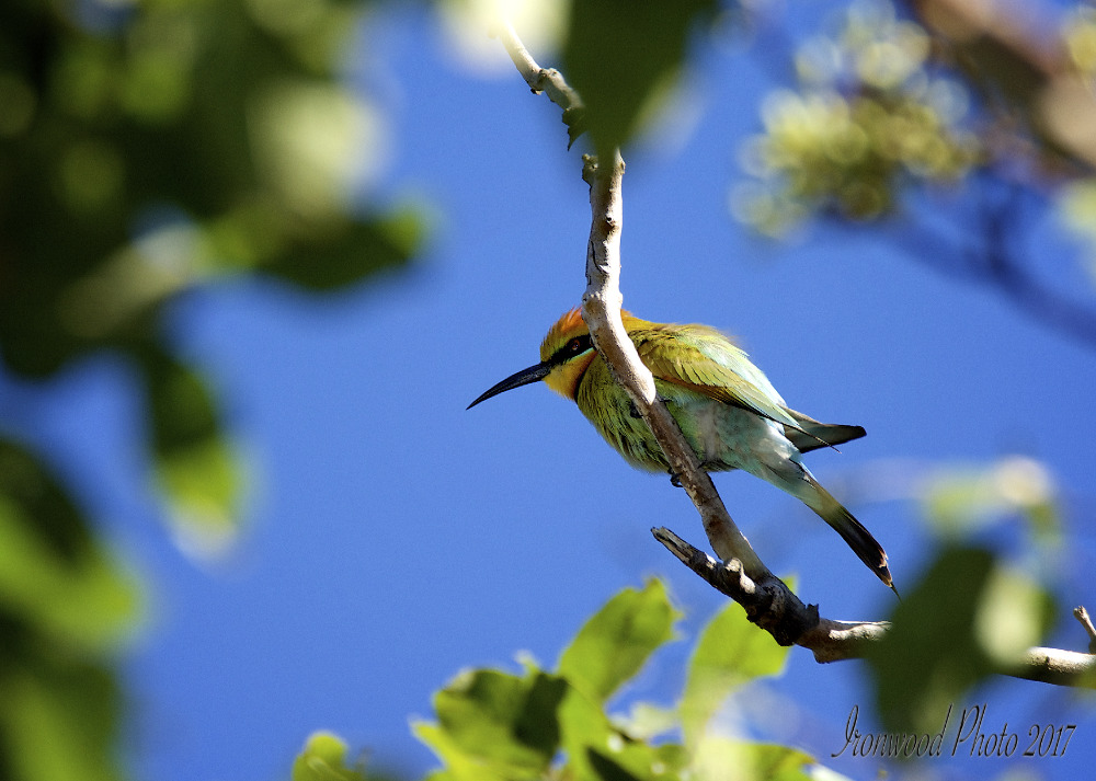 DSC_1183.jpg