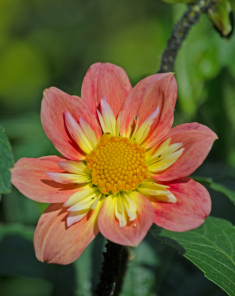 DSC_1189.jpg