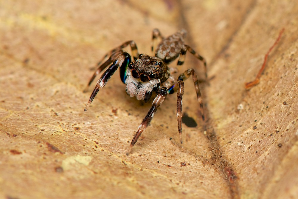 DSC_1199.jpg