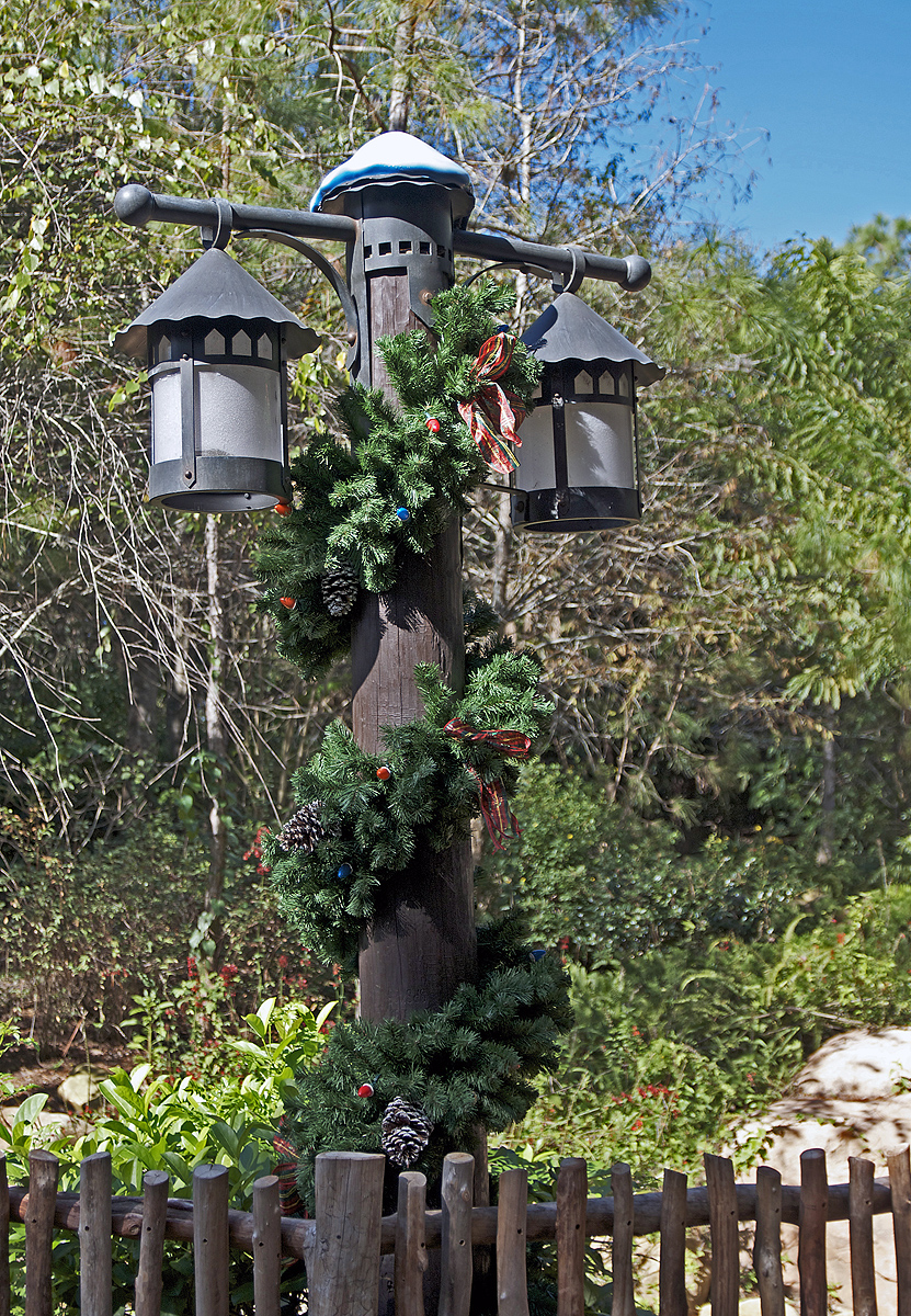 DSC_1203.jpg
