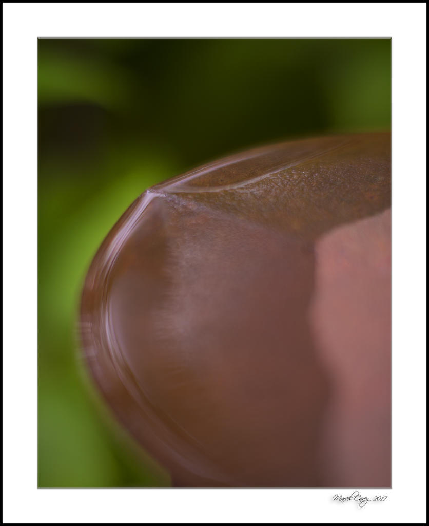 DSC_1205.jpg