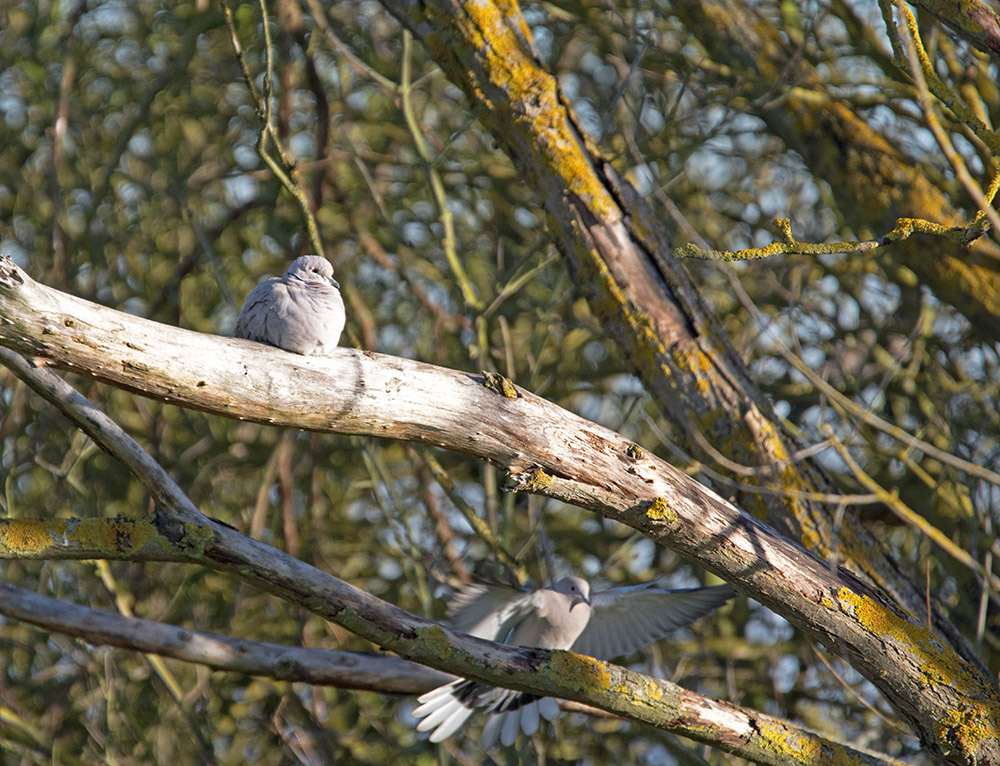 DSC_1206.jpg