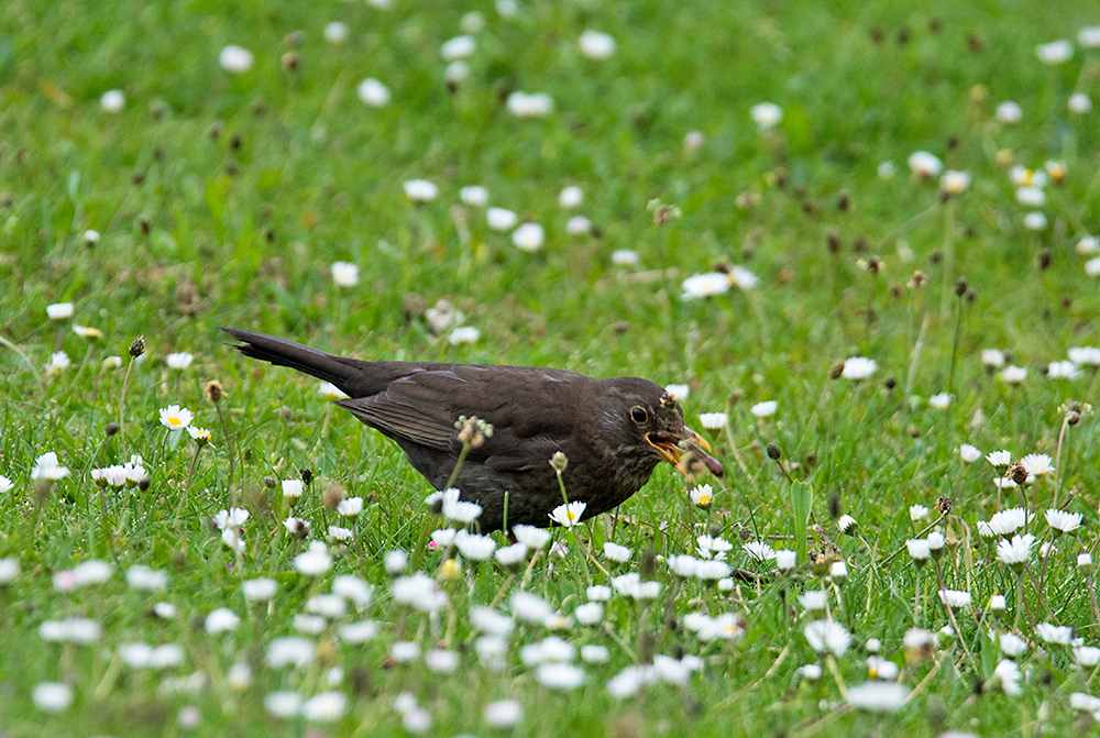 DSC_1209.jpg
