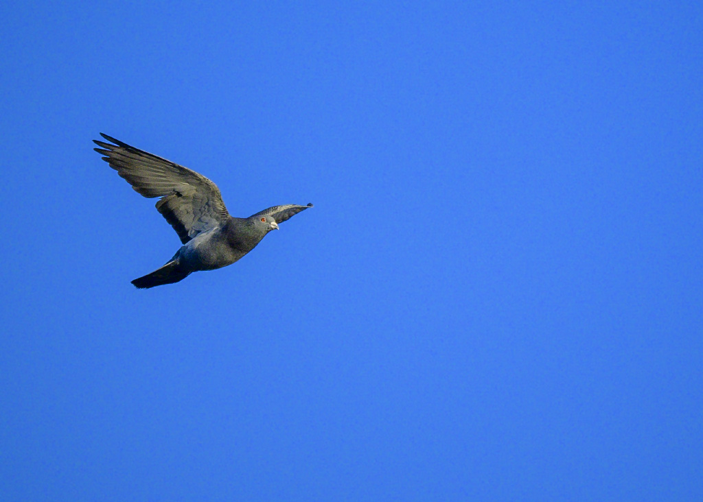 DSC_1209.jpg