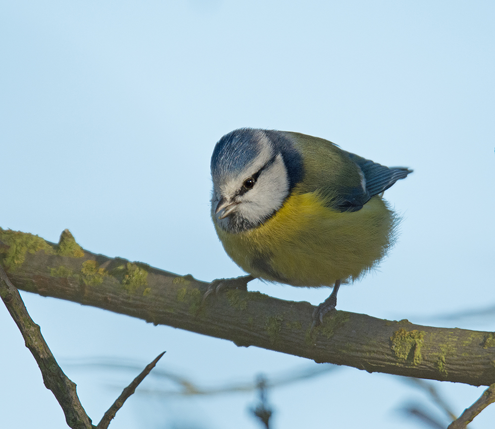 DSC_1211.jpg