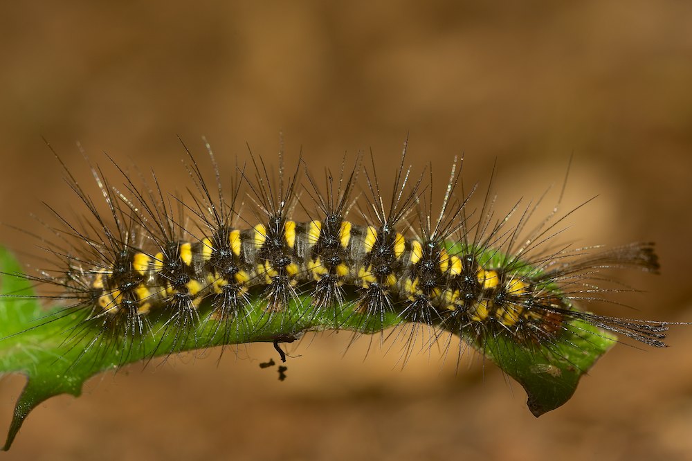 DSC_1214.jpg