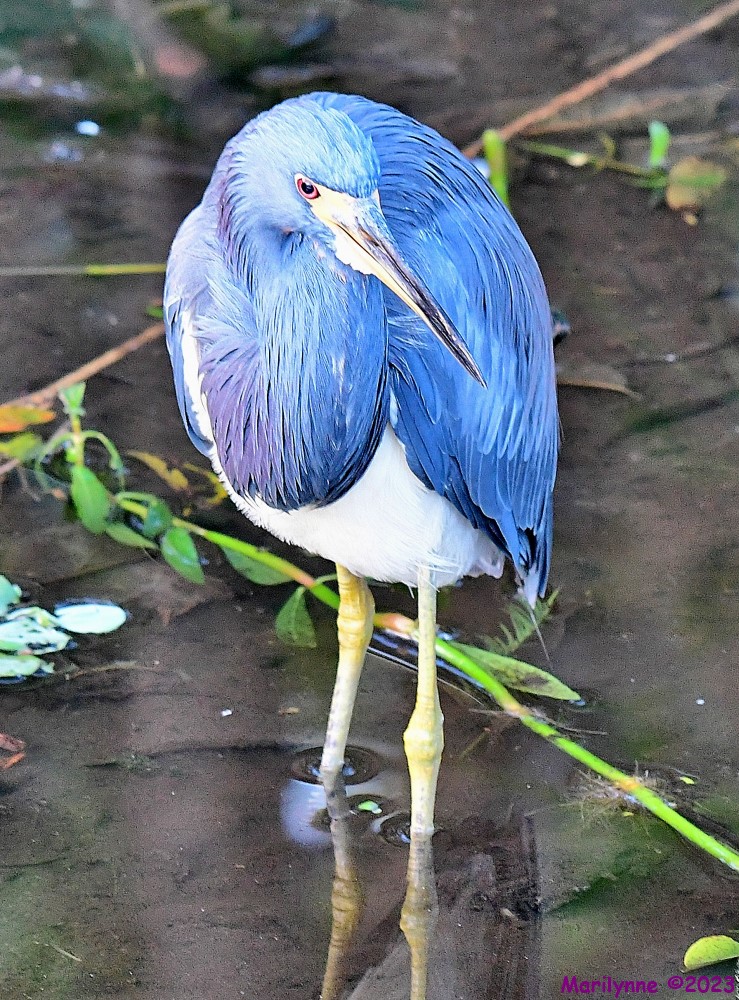 DSC_1214_001.JPG