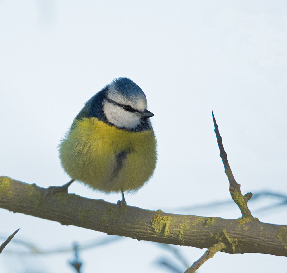 DSC_1215.jpg