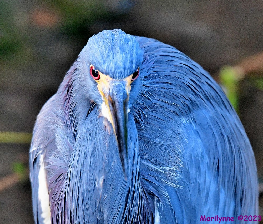 DSC_1215_001.JPG
