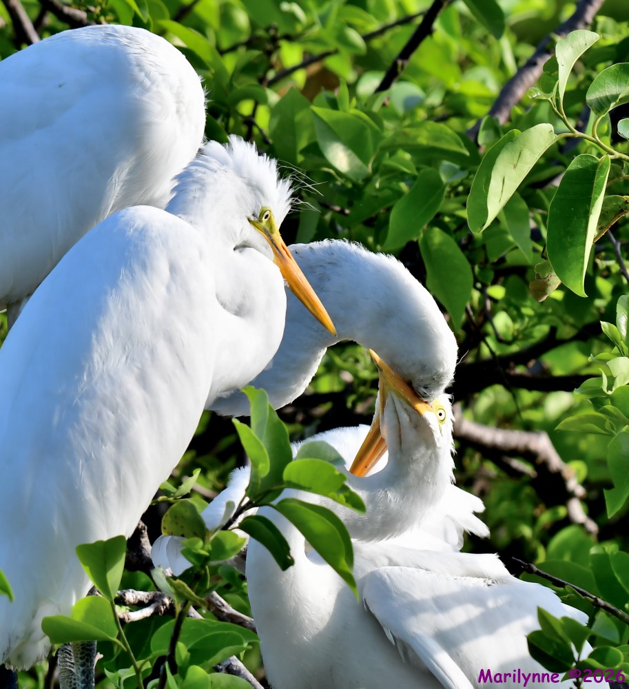 DSC_1215_001.JPG