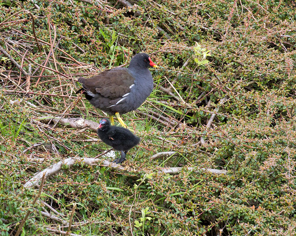 DSC_1218.jpg