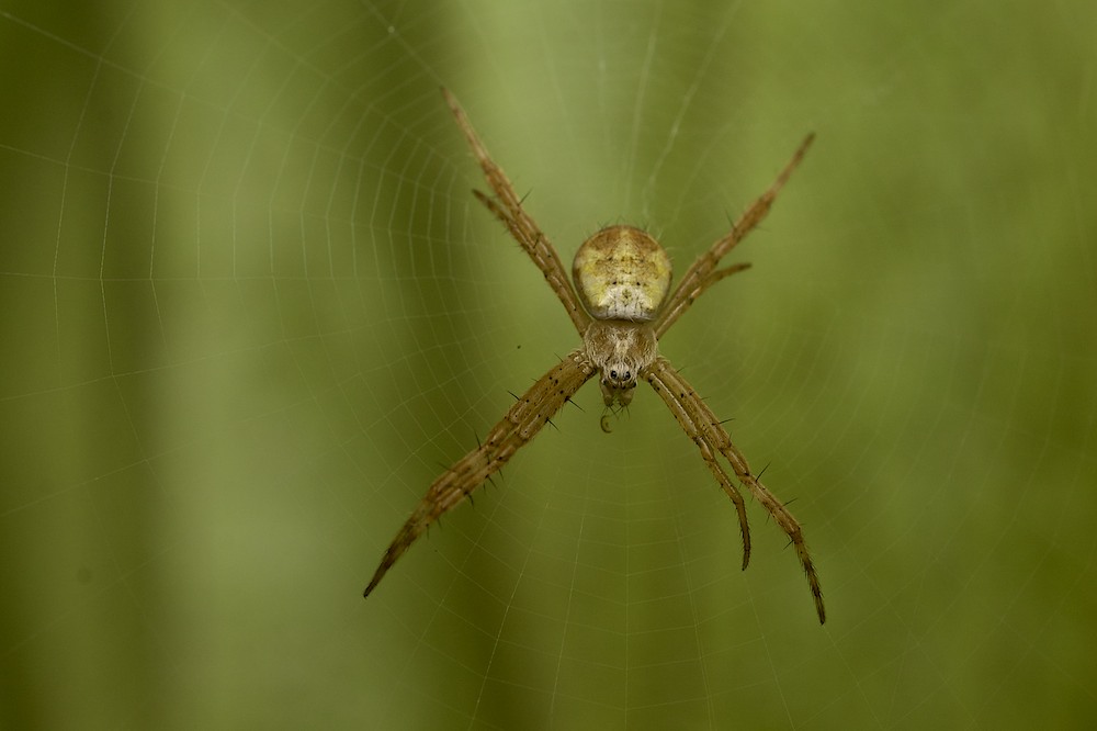 DSC_1220.jpg