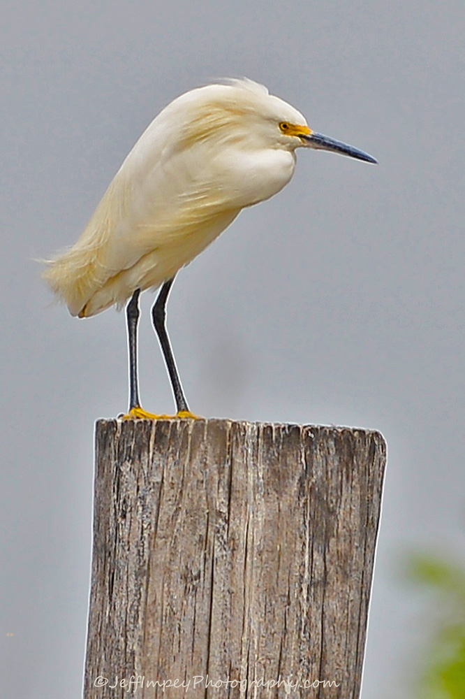 DSC_1220.jpg