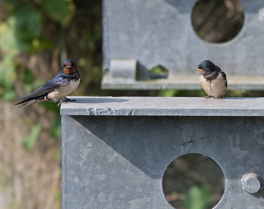 DSC_1222.jpg