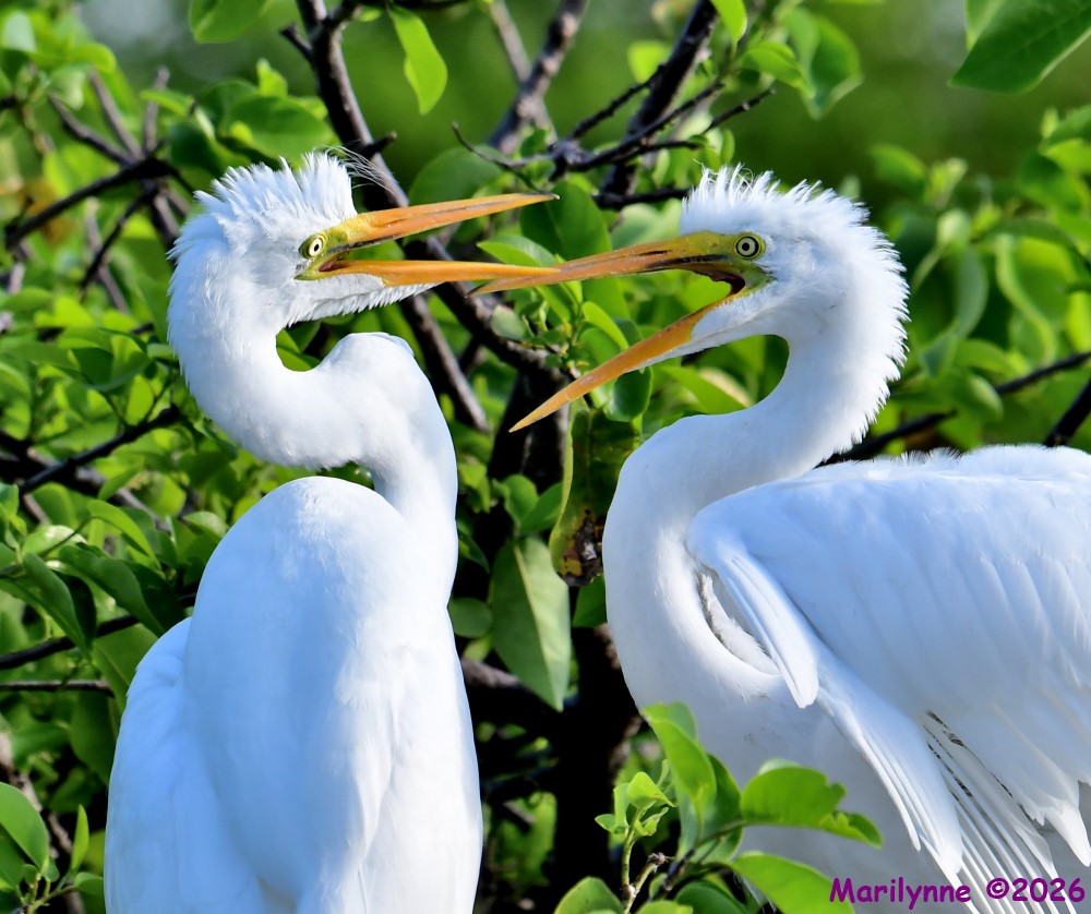 DSC_1222_001.JPG