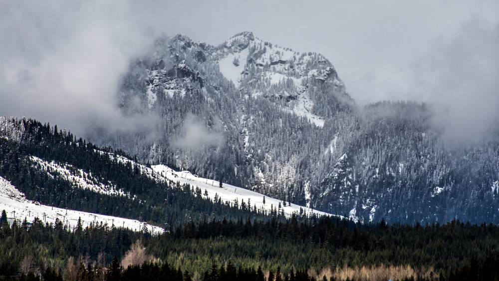 DSC_1223.jpg