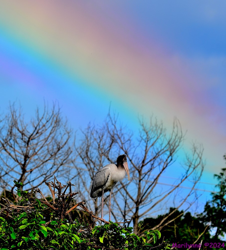 DSC_1230_001.JPG