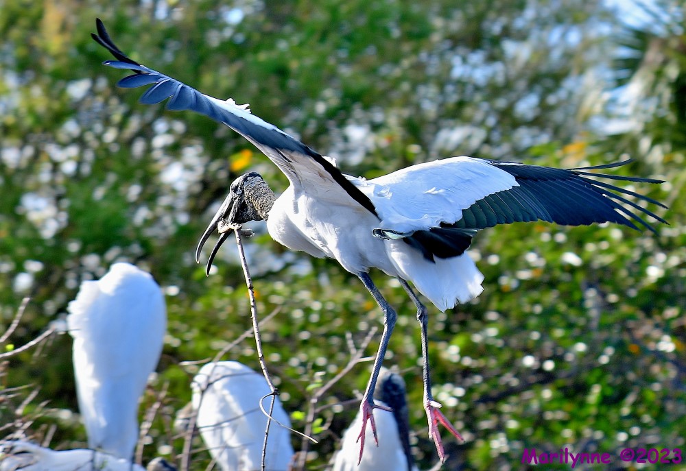 DSC_1233_001.JPG