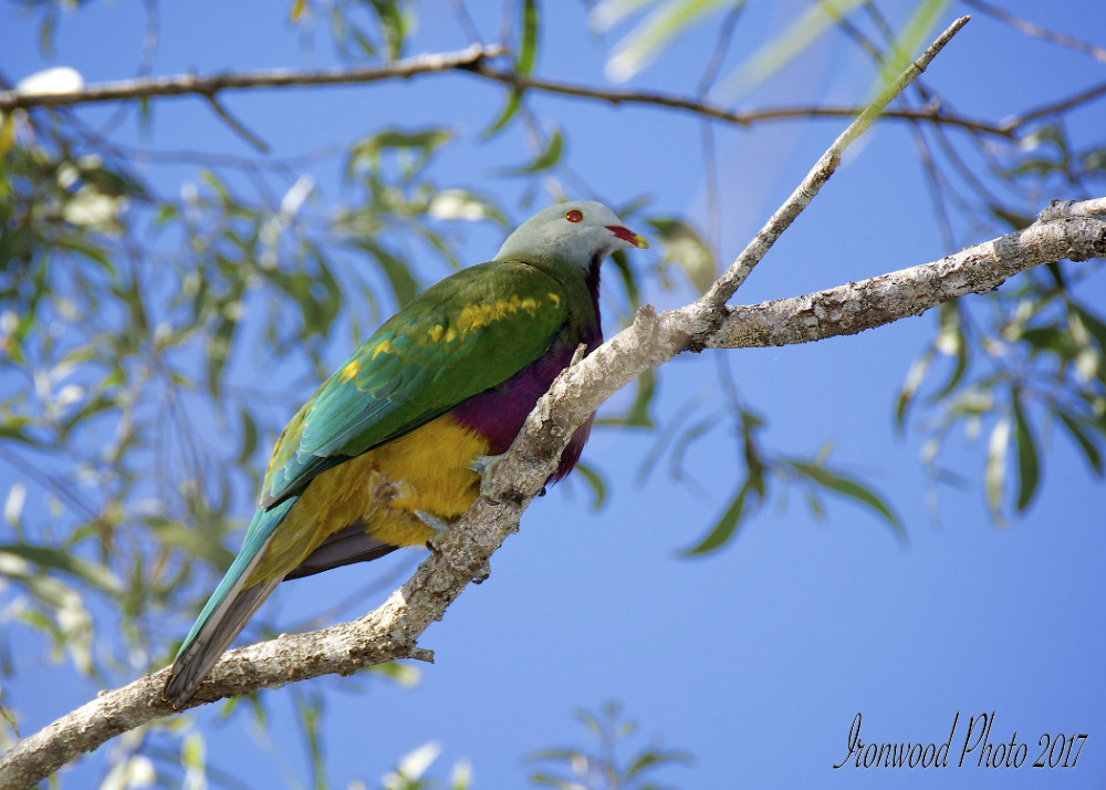 DSC_1235.jpg