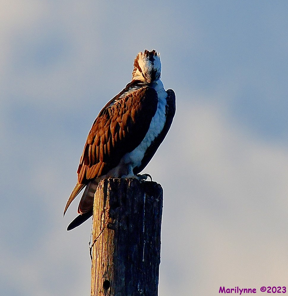 DSC_1235_001.JPG