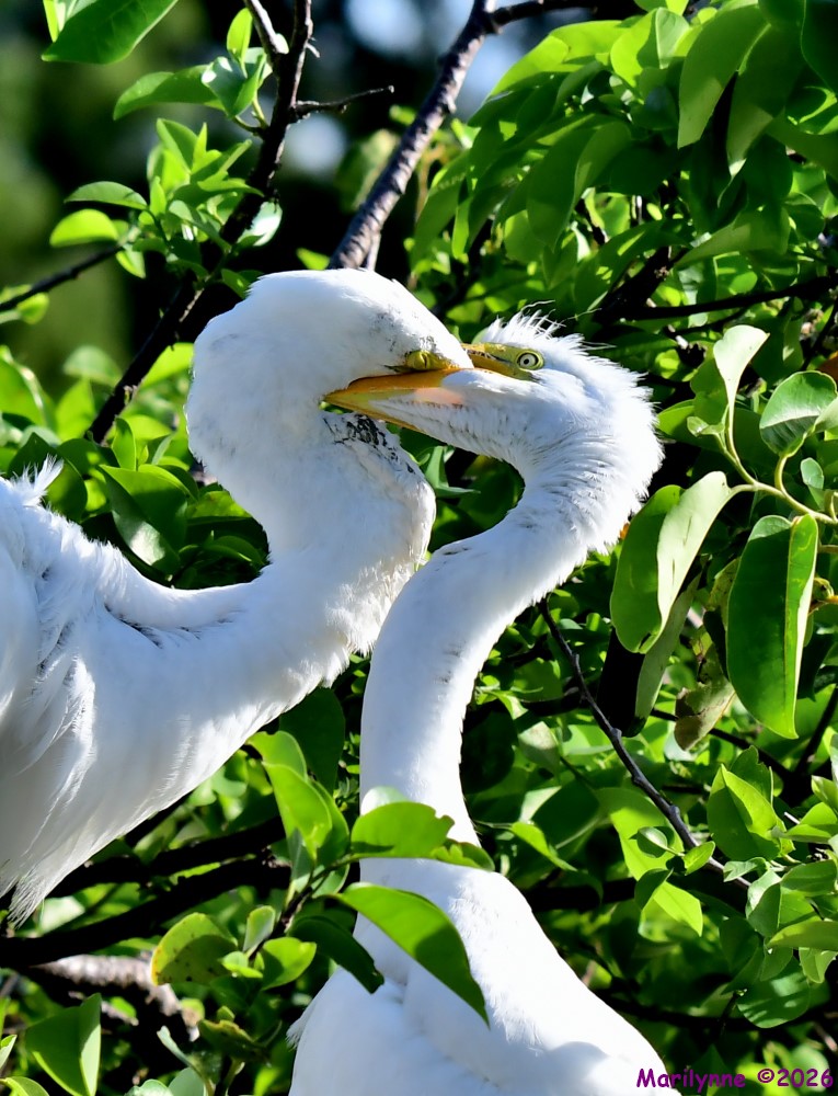 DSC_1235_001.JPG