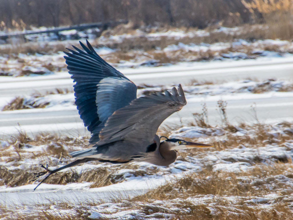 DSC_1236.jpg
