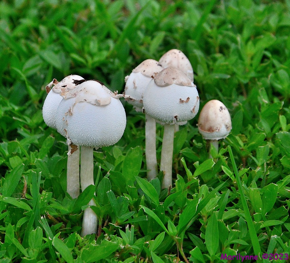 DSC_1237_001.JPG