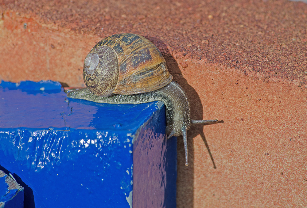 DSC_1238.jpg