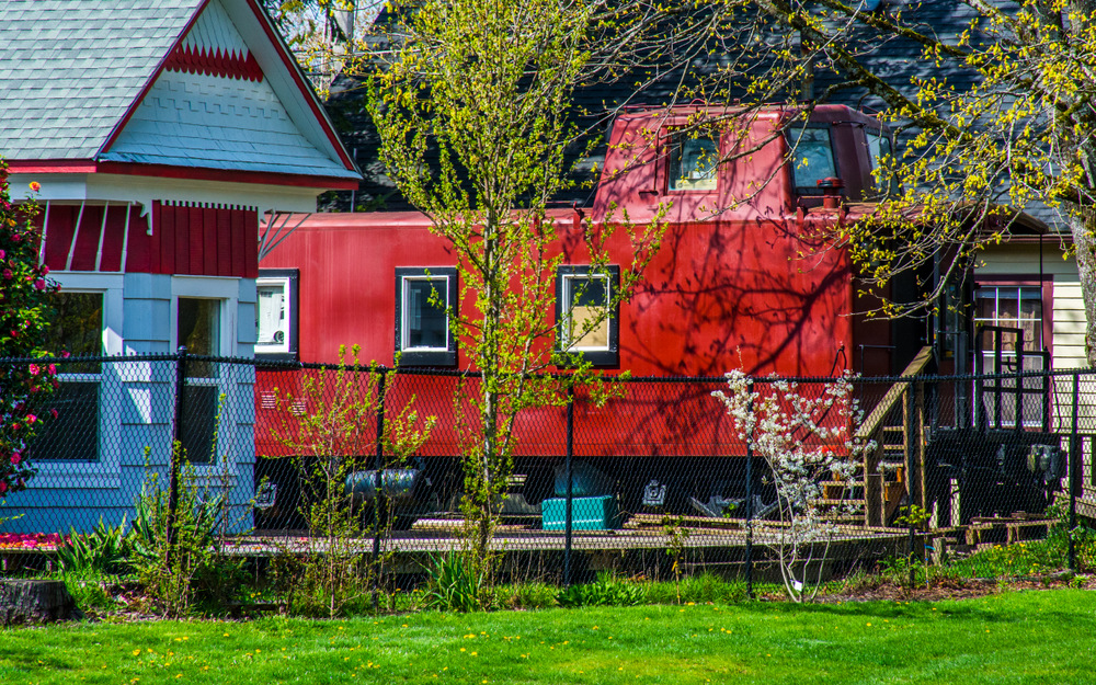 DSC_1238.jpg