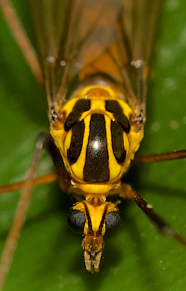 DSC_1240.jpg