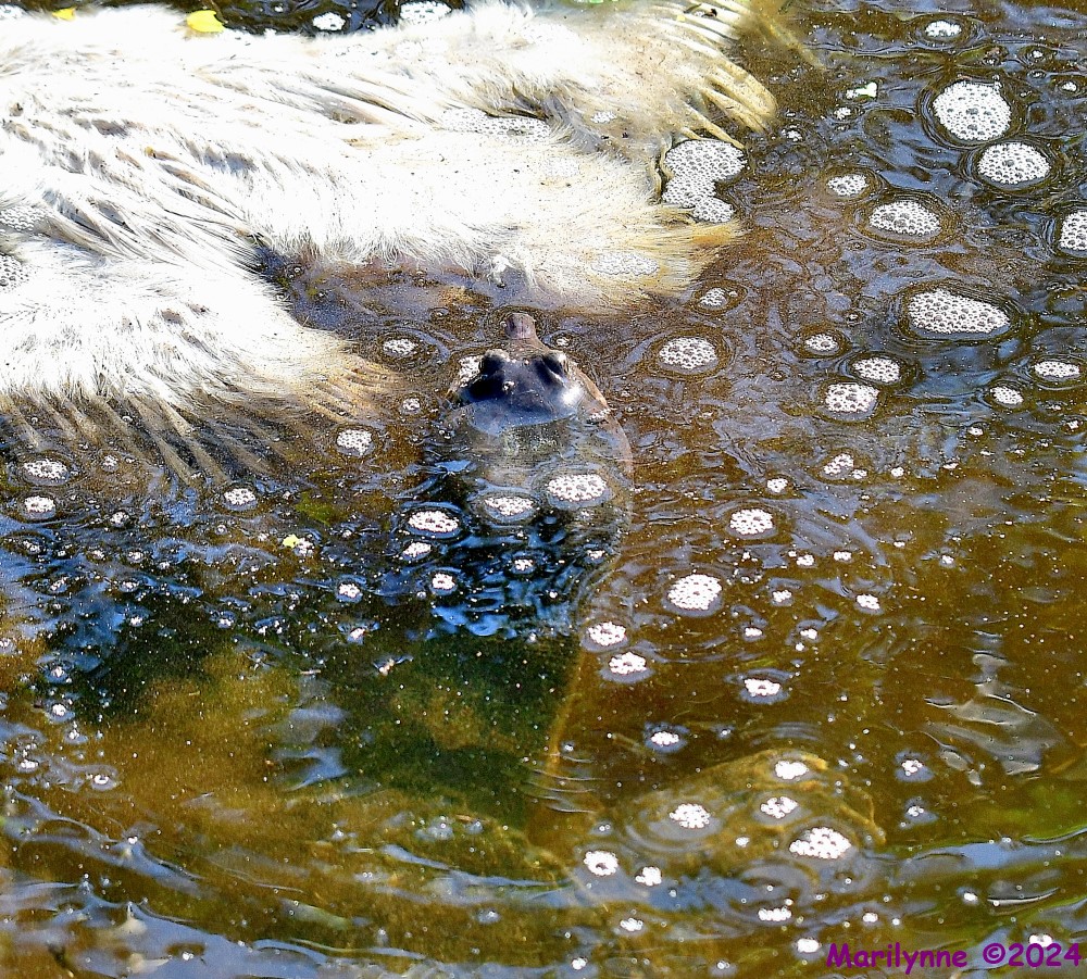 DSC_1240_001.JPG