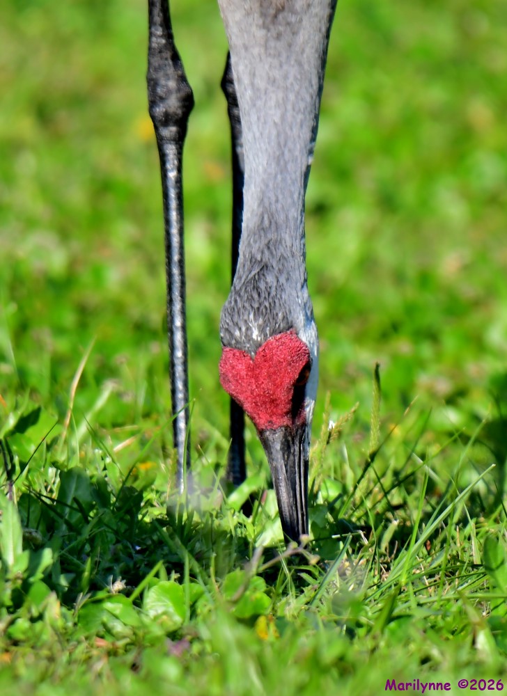 DSC_1243_001.JPG