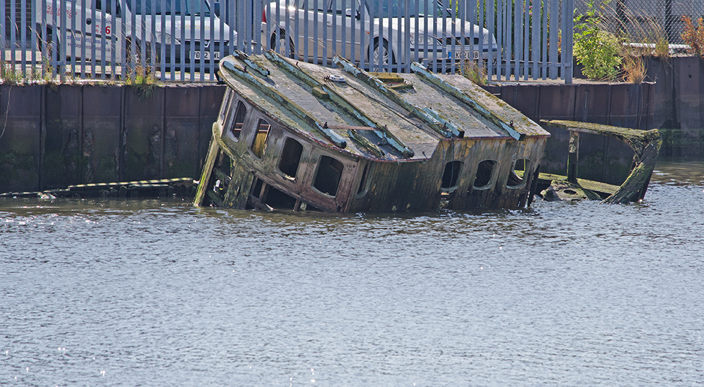 DSC_1244m.jpg